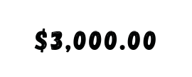 3 000 00